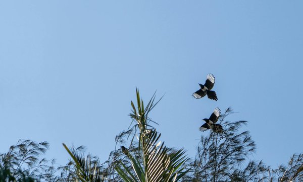 Immunisation des Personnes Âgées contre la Covid-19 : Assurons un Futur Serein pour Nos Aînés